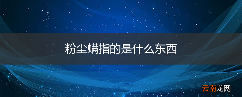 粉尘螨指的是什么东西
