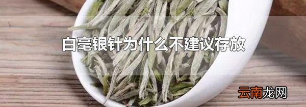 白毫银针为什么不建议存放