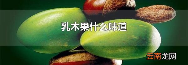 乳木果什么味道