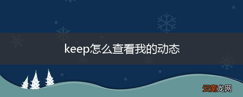 keep怎么查看我的动态