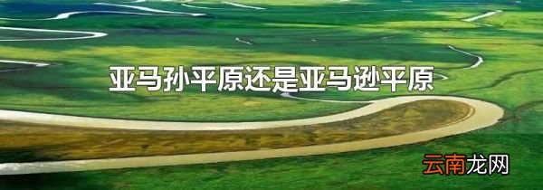 亚马孙平原还是亚马逊平原