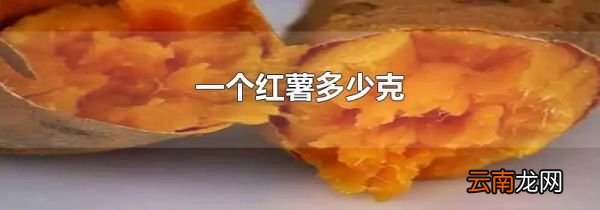 一个红薯多少克
