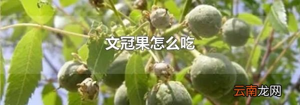 文冠果怎么吃