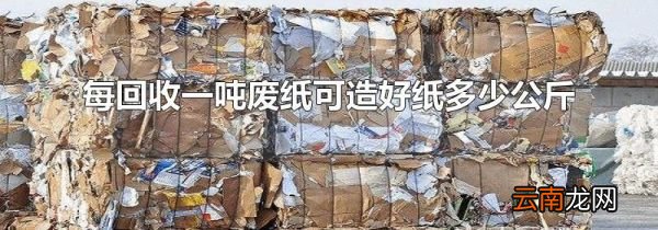 每回收一吨废纸可造好纸多少公斤