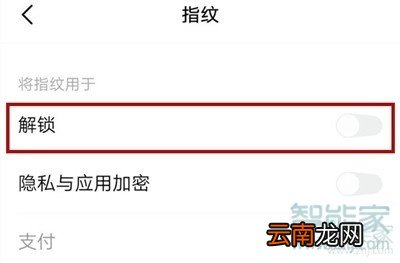 iqoopro怎么设置指纹解锁