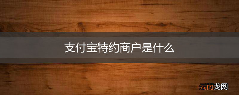 支付宝特约商户是什么