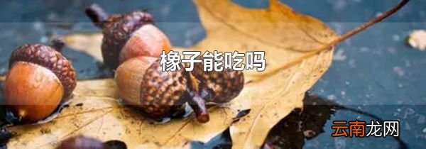 橡子能吃吗
