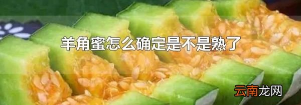 羊角蜜怎么确定是不是熟了
