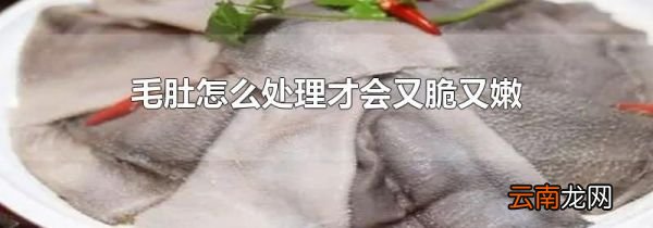 毛肚怎么处理才会又脆又嫩