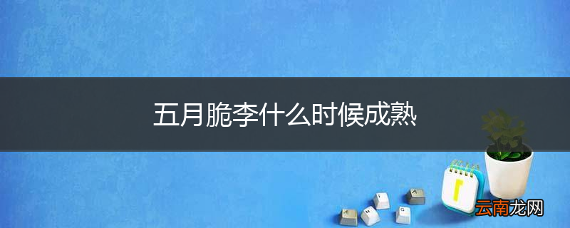 五月脆李什么时候成熟