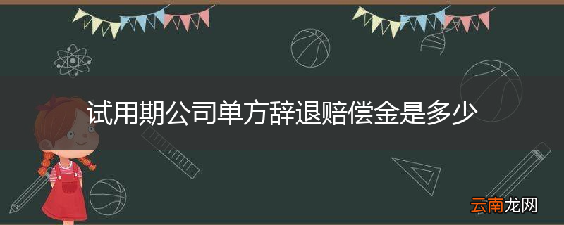试用期公司单方辞退赔偿金是多少
