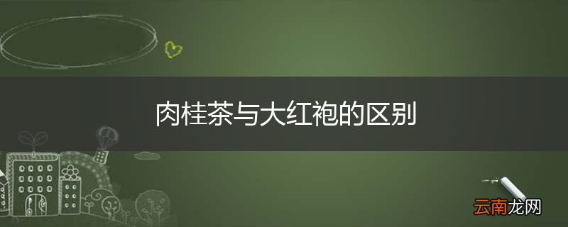 肉桂茶与大红袍的区别