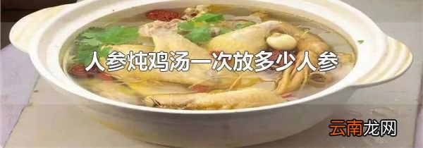 人参炖鸡汤一次放多少人参
