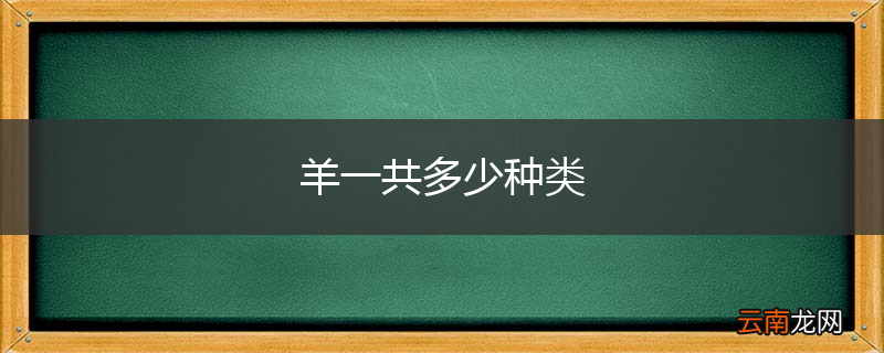 羊一共多少种类