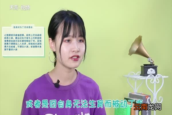 丁克是什么意思 什么是丁克