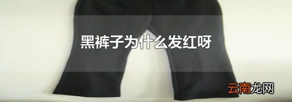 黑裤子为什么发红呀