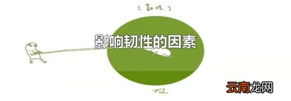 影响韧性的因素
