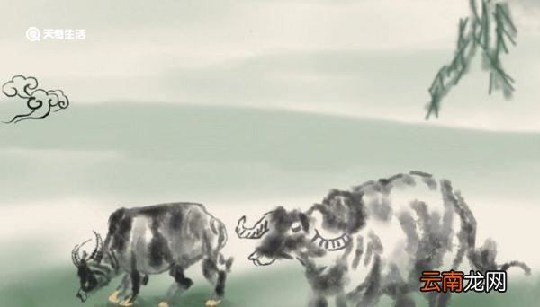 日长睡起无情思闲看儿童捉柳花的意思是什么 日长睡起无情思闲的意思