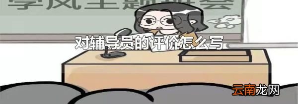 对辅导员的评价怎么写