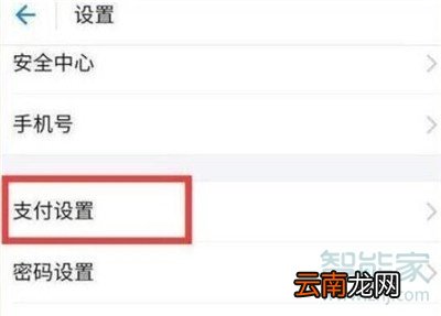 iqoopro怎么开启支付宝指纹支付