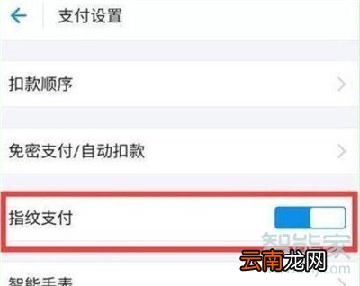 iqoopro怎么开启支付宝指纹支付
