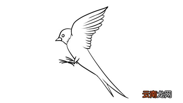 燕子简笔画 燕子的画法