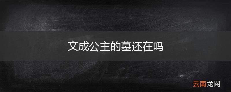 文成公主的墓还在吗