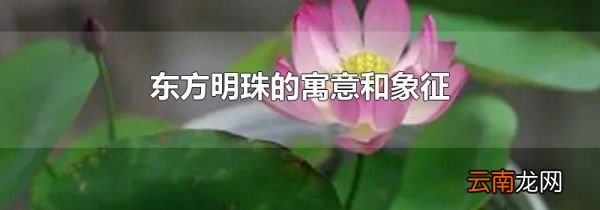 东方明珠的寓意和象征