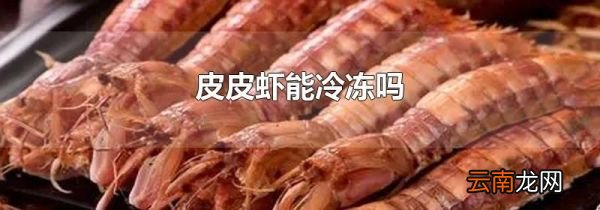 皮皮虾能冷冻吗