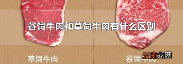 谷饲牛肉和草饲牛肉有什么区别