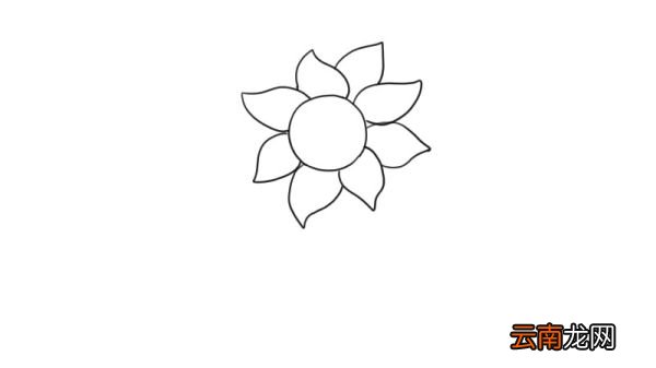 向日葵简笔画 向日葵的画法