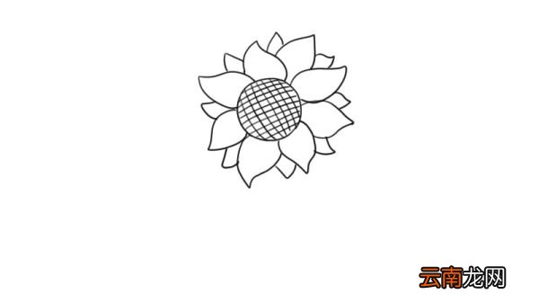 向日葵简笔画 向日葵的画法