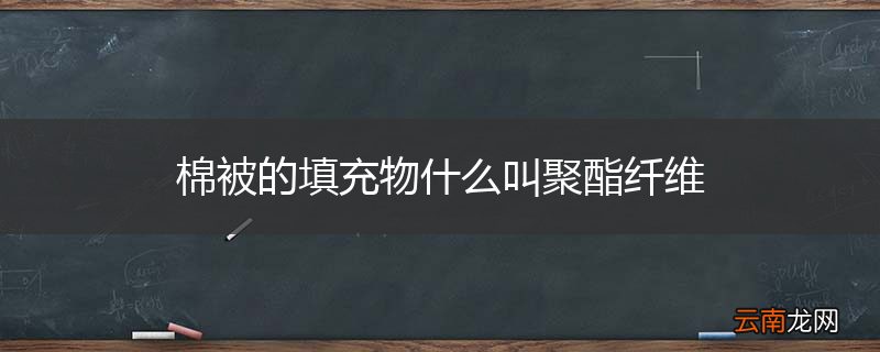 棉被的填充物什么叫聚酯纤维