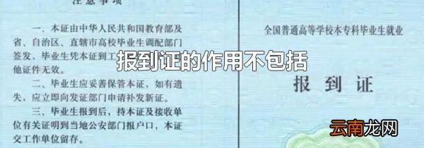 报到证的作用不包括
