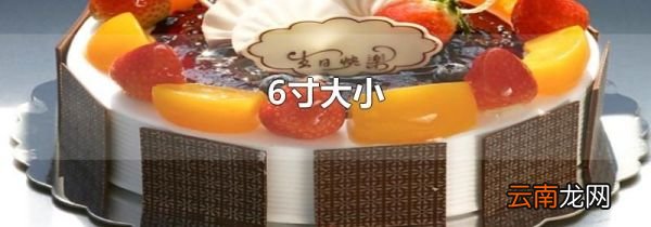 6寸大小