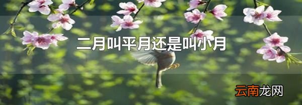 二月叫平月还是叫小月
