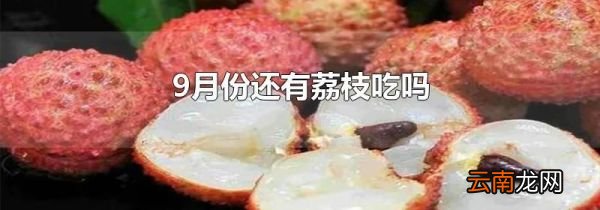 9月份还有荔枝吃吗
