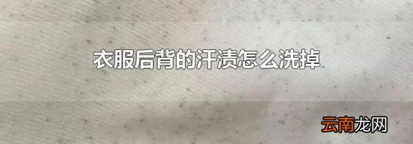 衣服后背的汗渍怎么洗掉