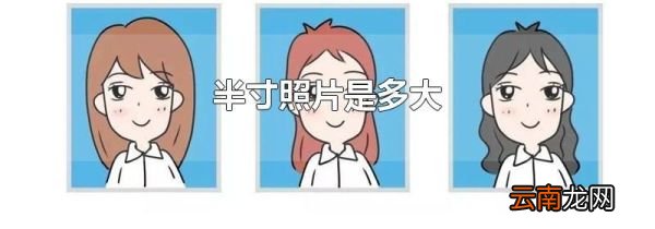 半寸照片是多大