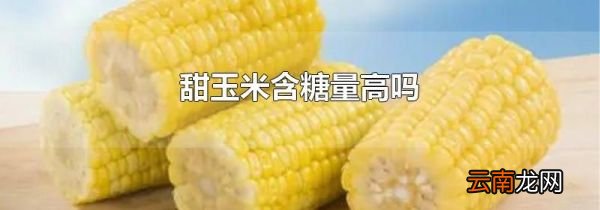 甜玉米含糖量高吗