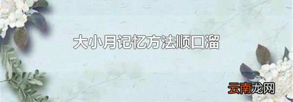 大小月记忆方法顺口溜