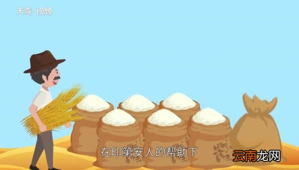 感恩节的由来 感恩节的由来简介