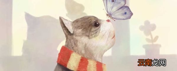 你若盛开蝴蝶自来下一句是什么 你若盛开蝴蝶自来下一句是什么蝴蝶自来