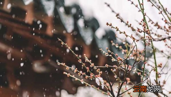 雨,好像停了出自哪里 雨，好像停了是哪个的