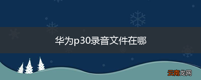 华为p30录音文件在哪