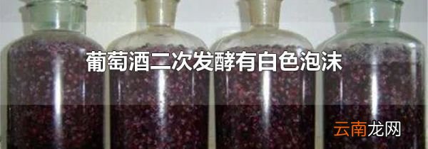 葡萄酒二次发酵有白色泡沫