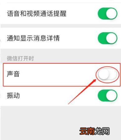 苹果发微信嗖的声音怎么开