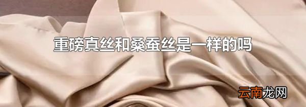 重磅真丝和桑蚕丝是一样的吗