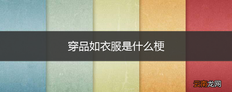 穿品如衣服是什么梗