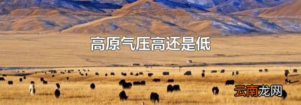 高原气压高还是低